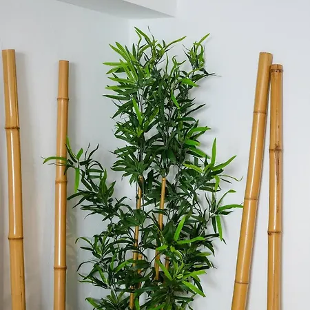 Da Rocha By Lovelystay *